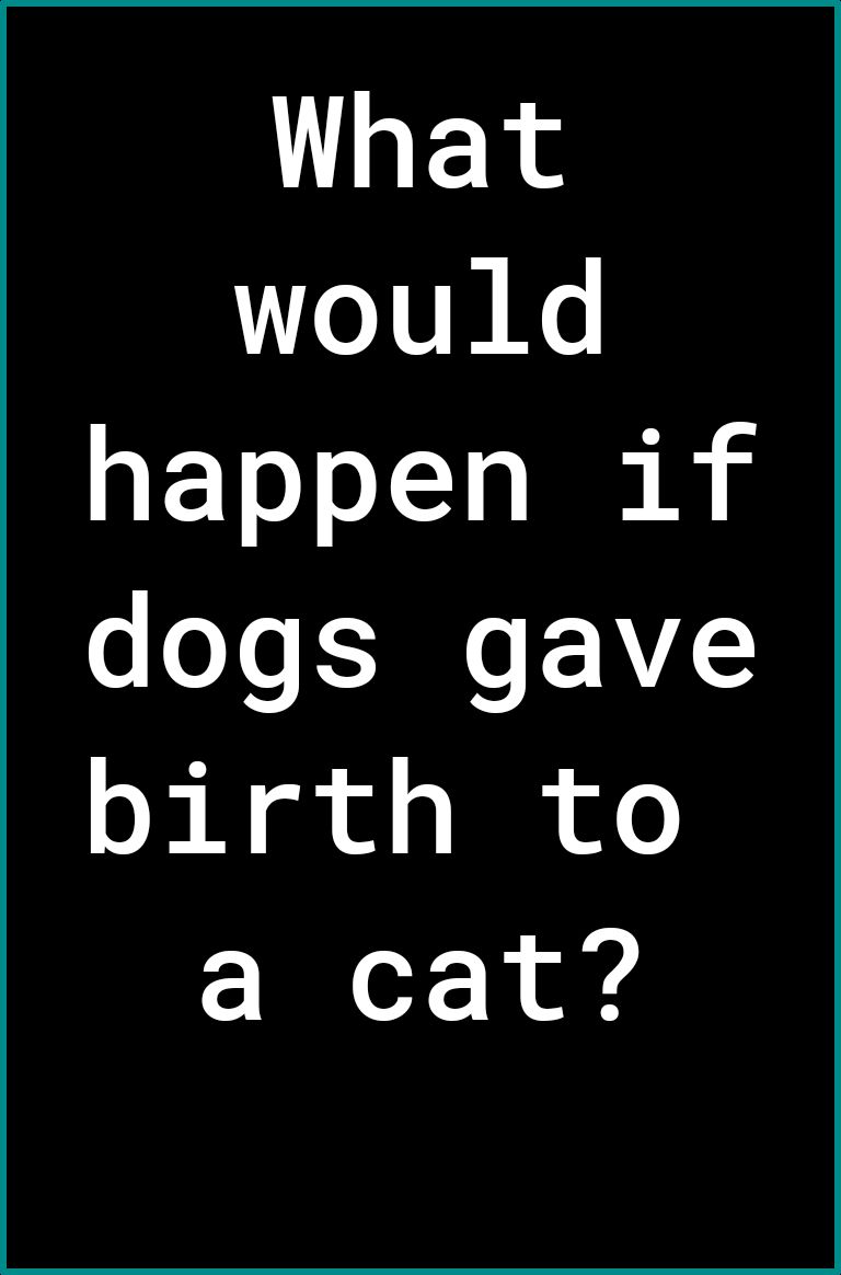 What would happen if dogs gave birth to a cat