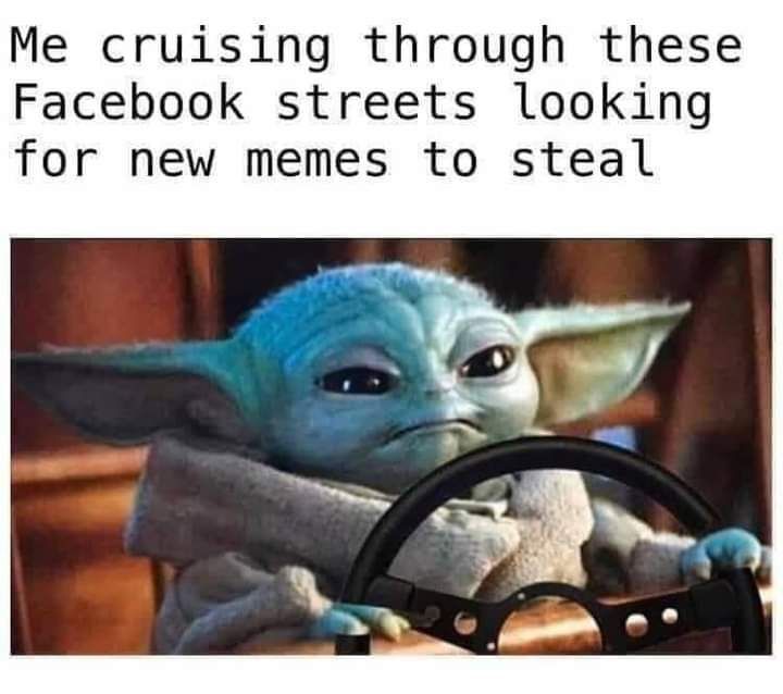Me cruising through these Facebook streets looking for new memes to steal