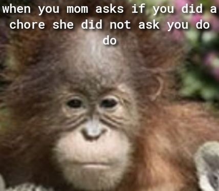 when you mom asks ifiyou a chore she not ask you L