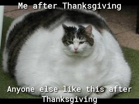 Me after ThanksglVlng