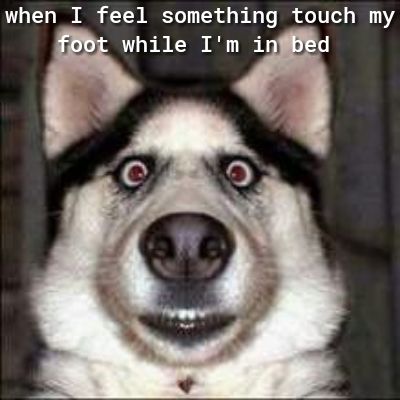 when I feel something touch my while Im i d
