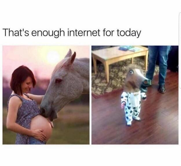Thats enough internet for today