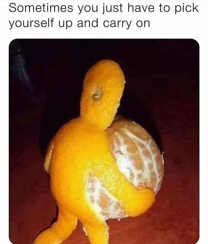 Sometimes you just have to pick yourself up and carry on