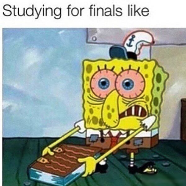 Studying for finals like