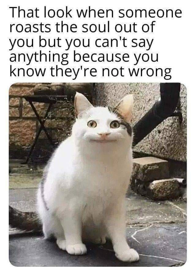 That look when someone roasts the soul out of you but you cant say anything because you know theyre not wrong y S