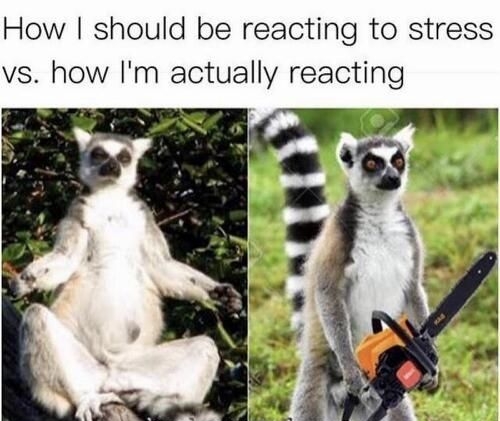 How should be reacting to stress vs how Im actually reacting