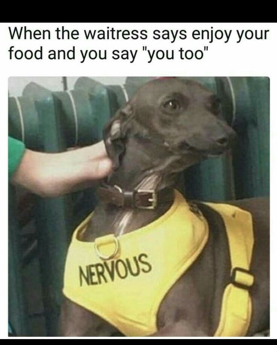 When the waitress says enjoy your food and you say you too