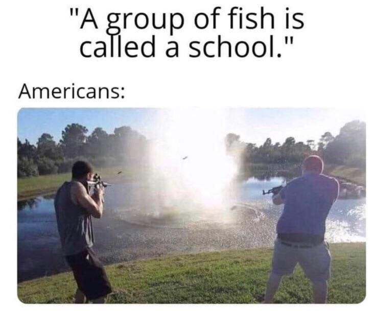 g roup of fish is called a school Americans