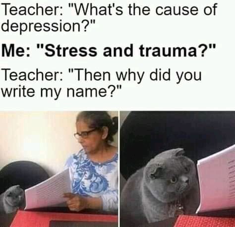 Teacher Whats the cause of depression Me Stress and trauma Teacher Then why did you write my name
