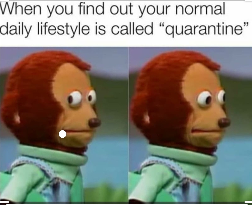 When you find out your normal daily lifestyle is called quarantine