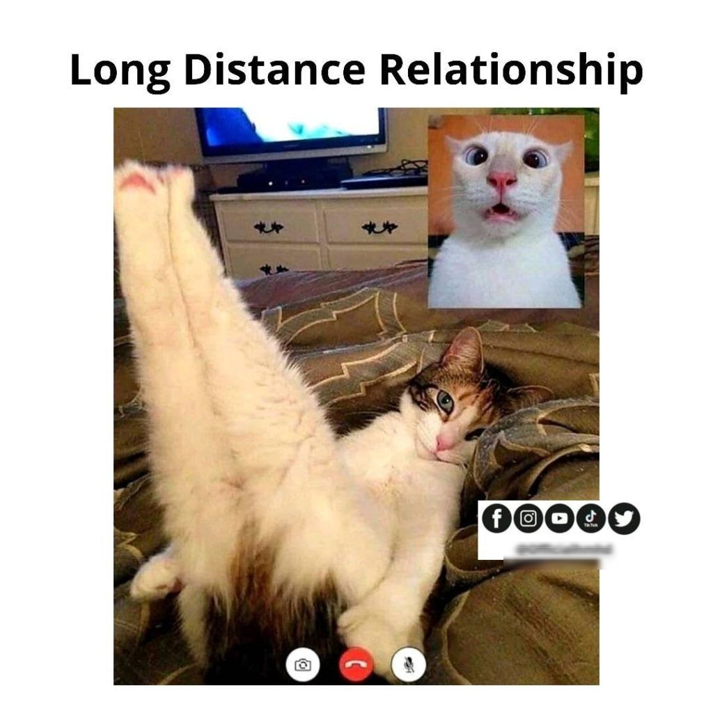 Long Distance Relationship GREME