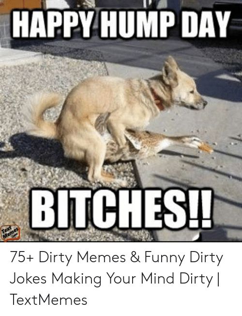 HAPPYHUMP DAY BITCHES 75 Drty Memes Funny Dirty Jokes Making Your Mind Dirty TextMemes