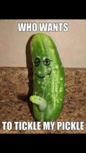 S TOTICKLE MY PICKLE