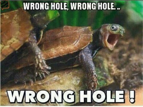 WRONG HOLE WRONGTHOLE