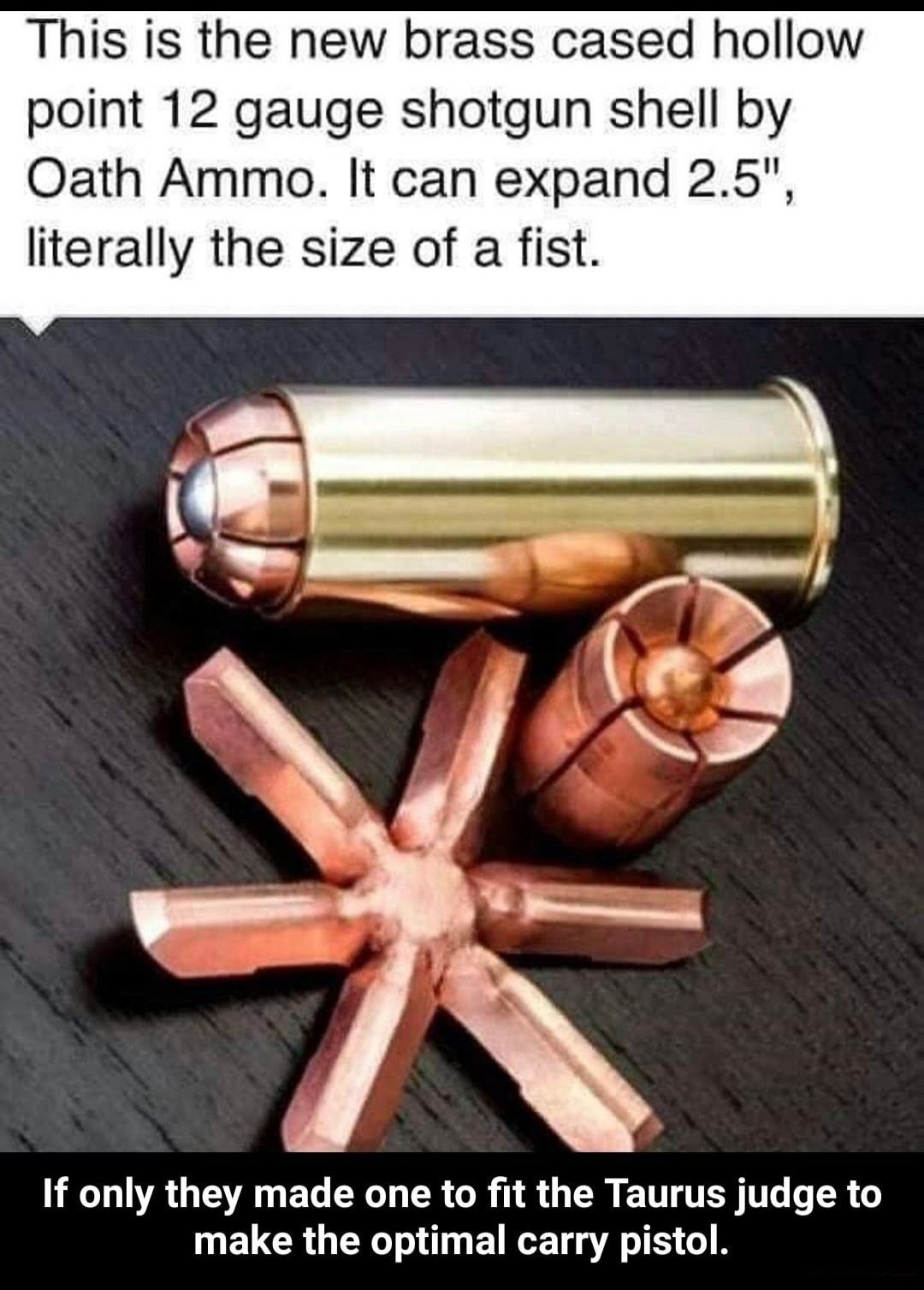 This is the new brass cased hollow point 12 gauge shotgun shell by Oath Ammo It can expand 25 literally the size of a fist If only they made one to fit the Taurus judge to ELCROER T ETRT TS G R