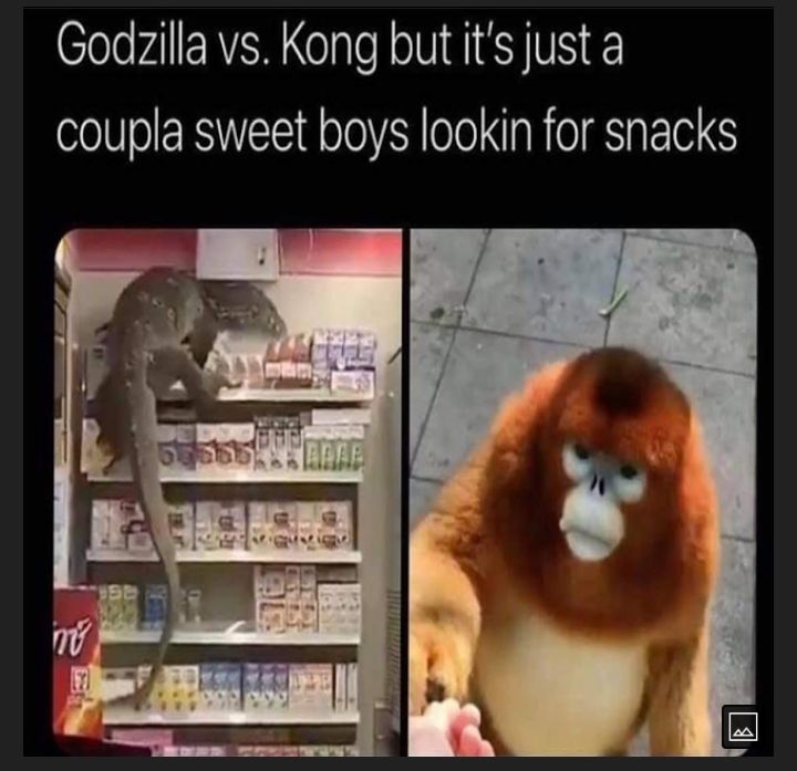 Godzilla vs Kong but its just a coupla sweet boys lookin for snacks