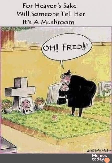 For Heavens Sake Will Someone Tell Her Its A Mushroom _E S OH FRED