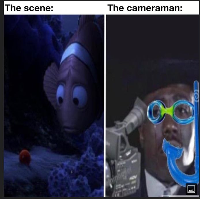 The cameraman