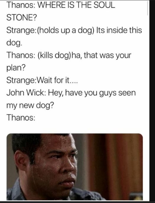 Thanos WHERE IS THE SOUL STONE Strangeholds up a dog Its inside this dog Thanos kills dogha that was your plan StrangeWait for it John Wick Hey have you guys seen my new dog Thanos