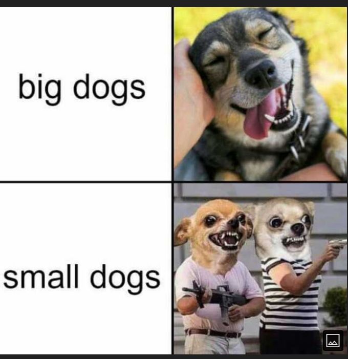 big dogs small dogs 4