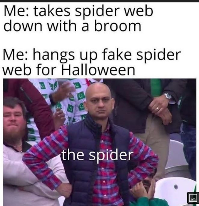 Me takes spider web down with a broom Me hangs up fake spider web for HaIIoween the spTder