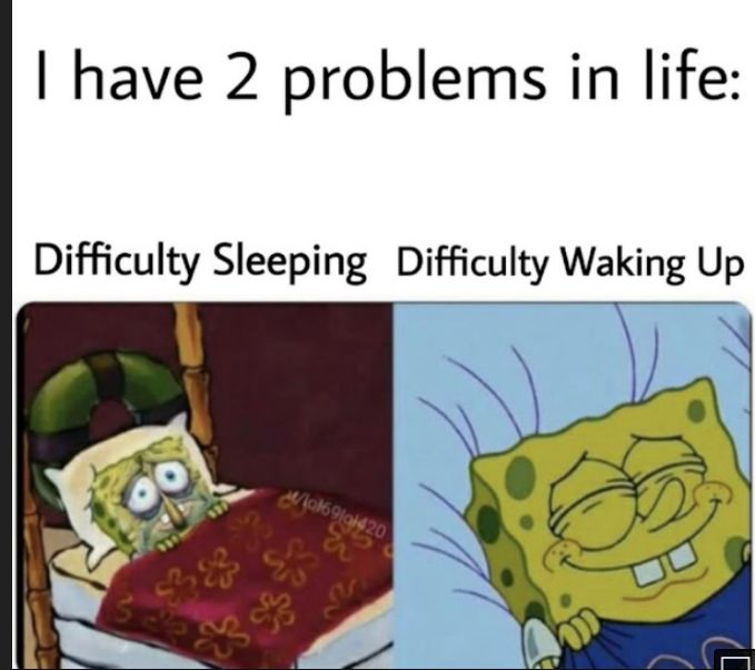 have 2 problems in life Difficulty Sleeping Difficulty Waking Up