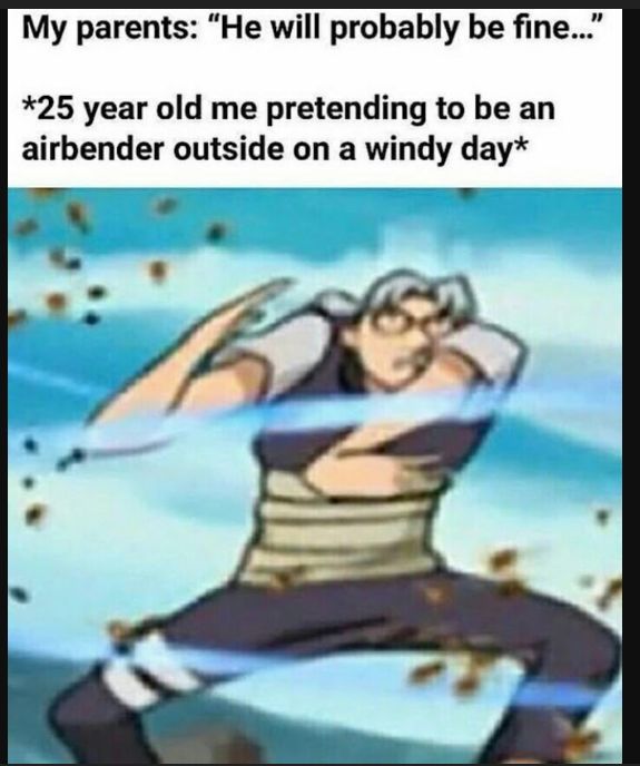 My parents He will probably be fine 25 year old me pretending to be an airbender outside on a windy day