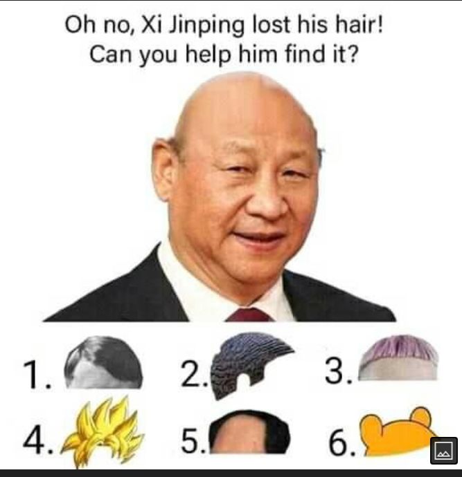 Oh no Xi Jinping lost his hair Can you help him find it