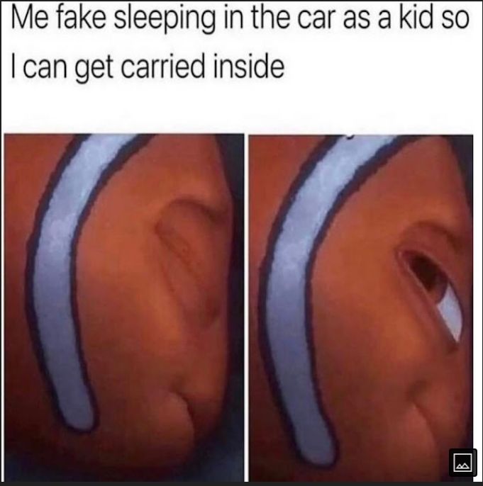 Me fake sleeping in the car as a kid so can get carried inside