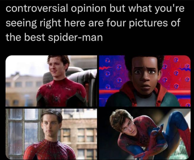 controversial opinion but what youre seeing right here are four pictures of the best spider man