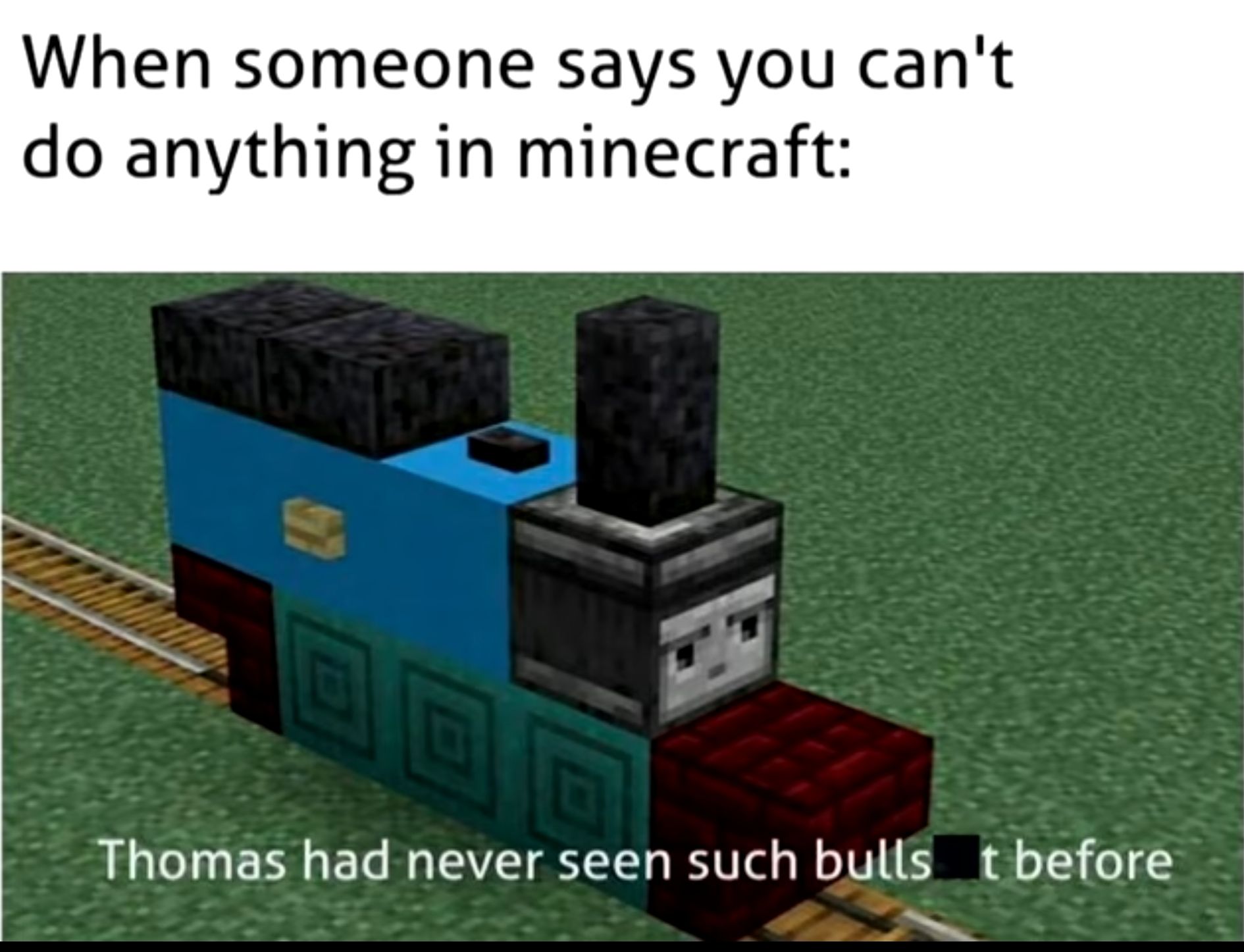 When someone says you cant do anything in minecraft Thomas had never seen such bulls t before