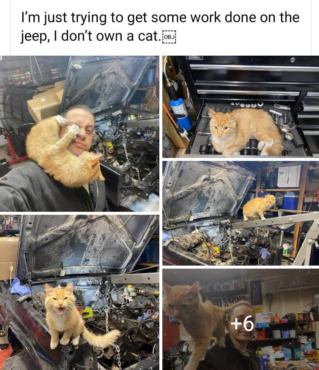 Im just trying to get some work done on the jeep dont own a catjs