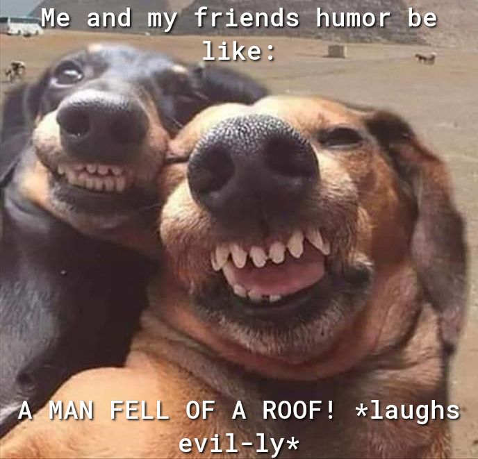 A ROOF xlaughs aAVES AT o