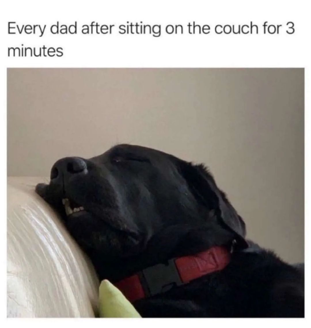 Every dad after sitting on the couch for 3 minutes