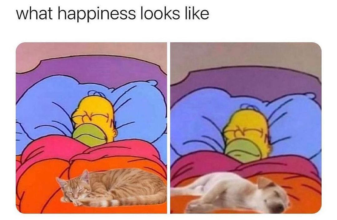 what happiness looks like