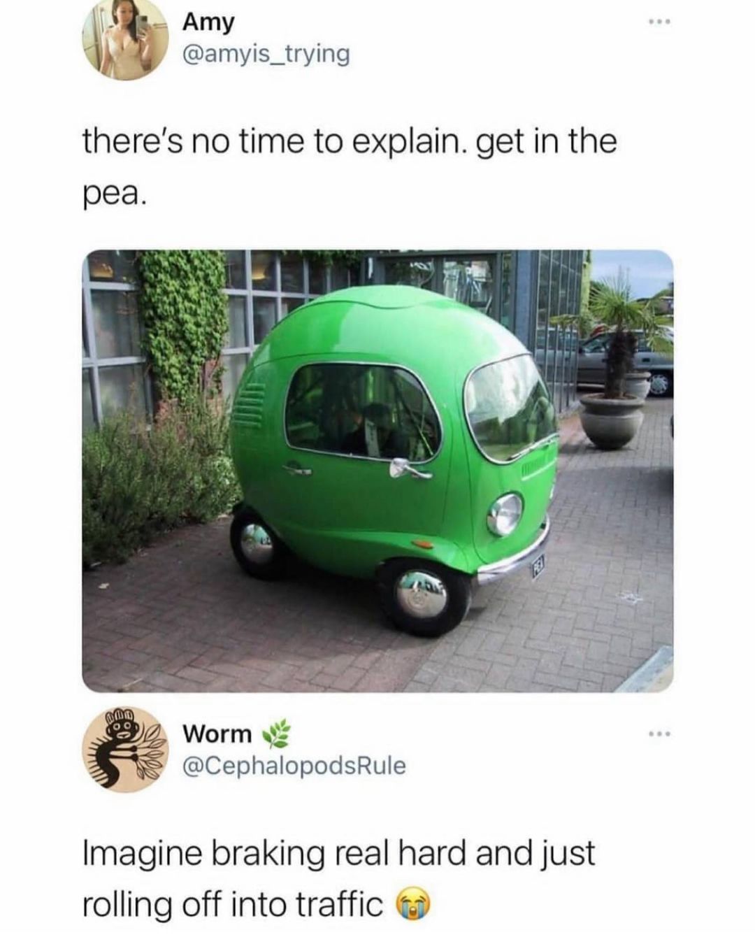 A Amy amyis_trying theres no time to explain get in the pea Worm CephalopodsRule Imagine braking real hard and just rolling off into traffic