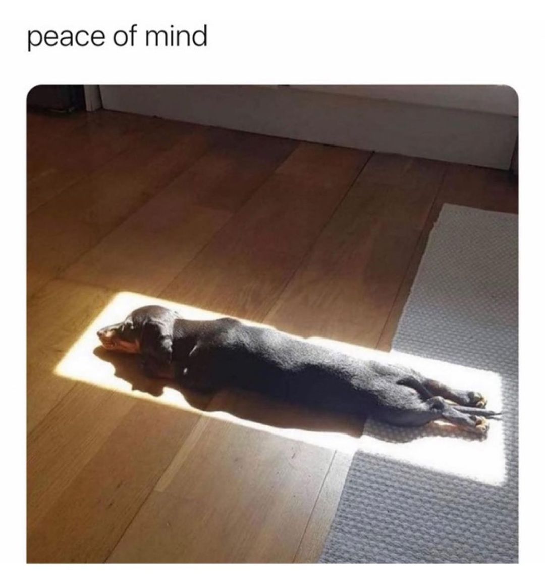 peace of mind