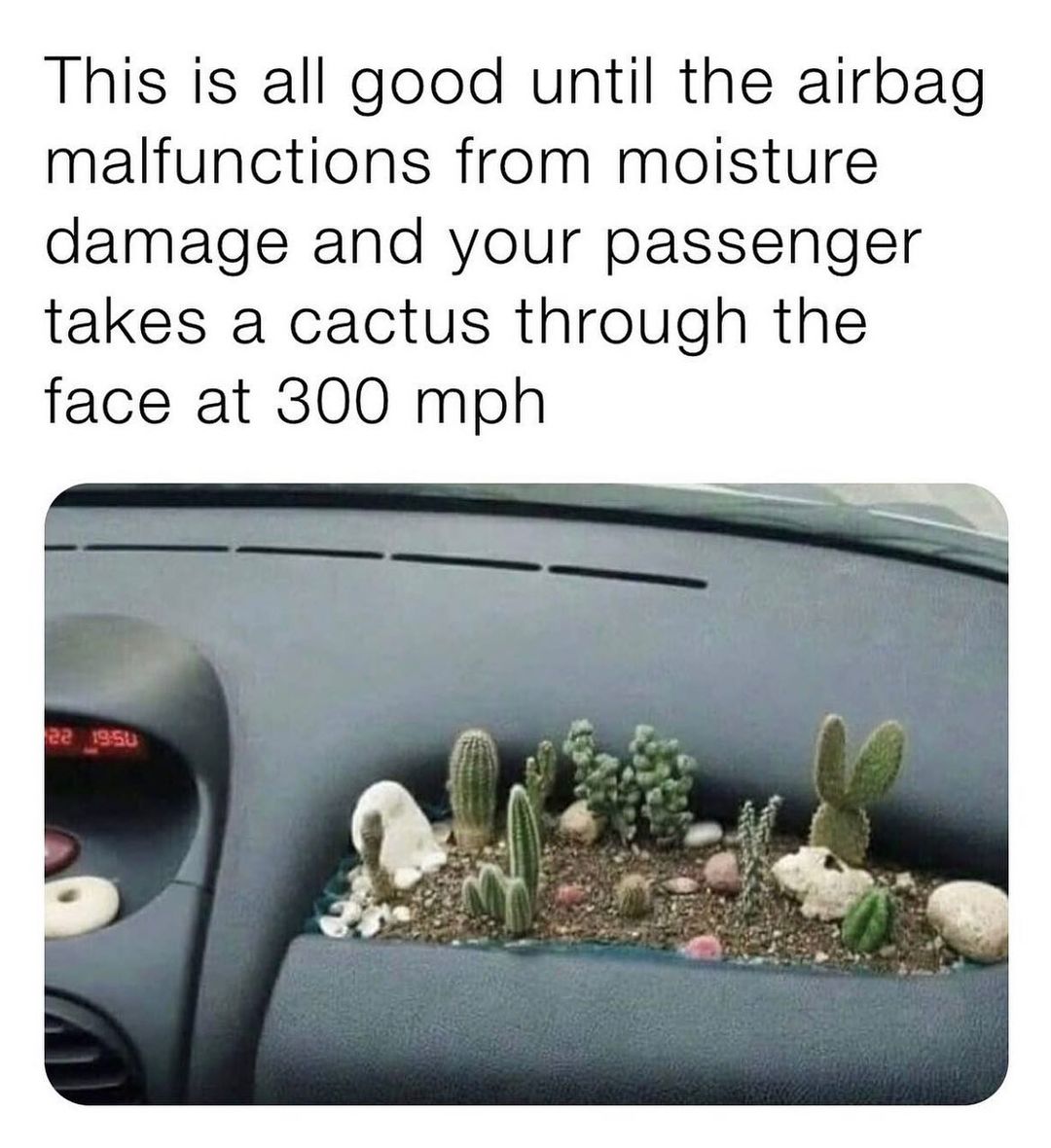 This is all good until the airbag malfunctions from moisture damage and your passenger takes a cactus through the face at 300 mph