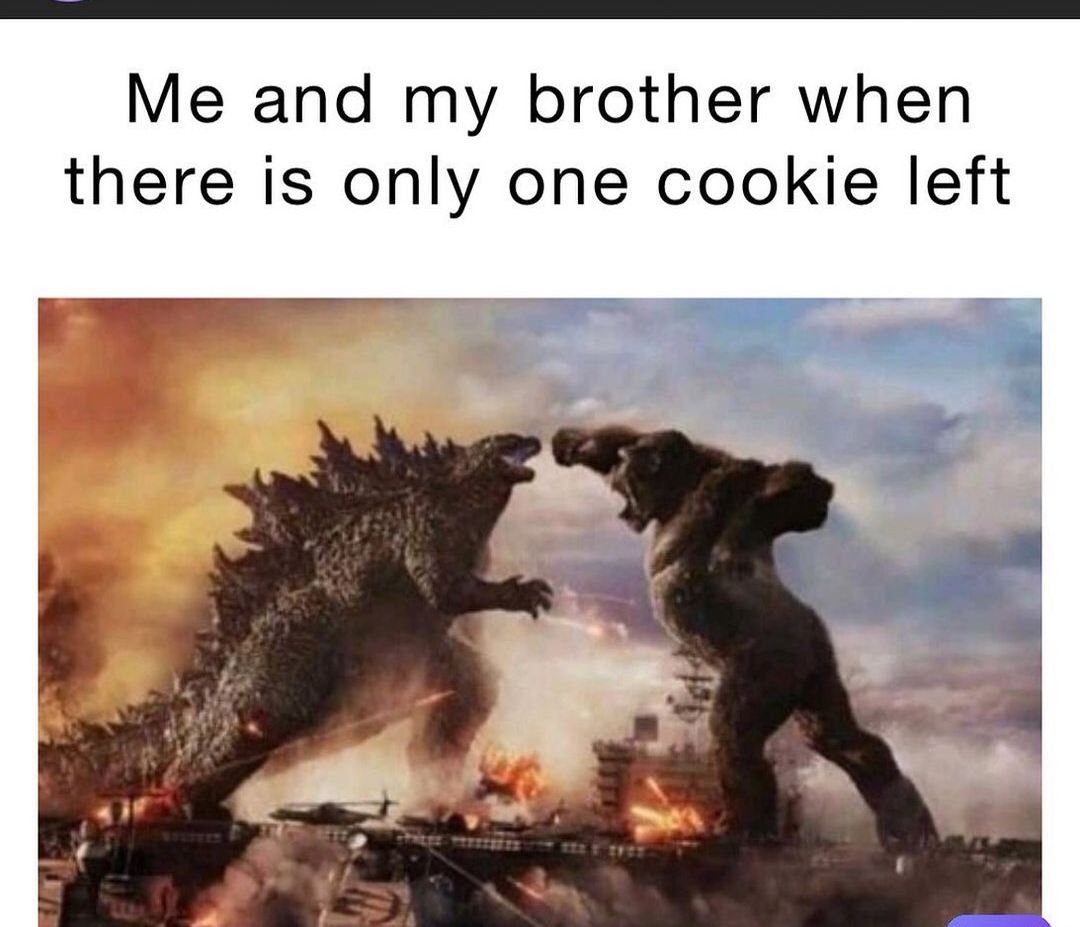 Me and my brother when there is only one cookie left T _rr ll