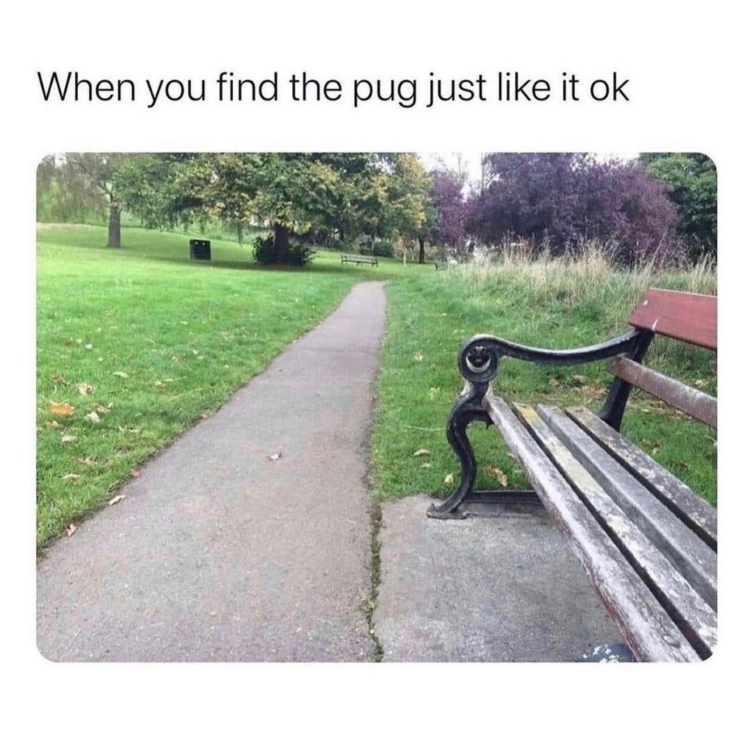 When you find the pug just like it ok