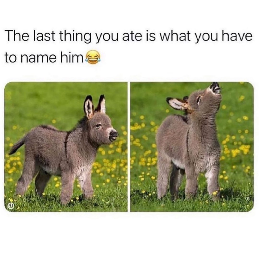 The last thing you ate is what you have to name hims