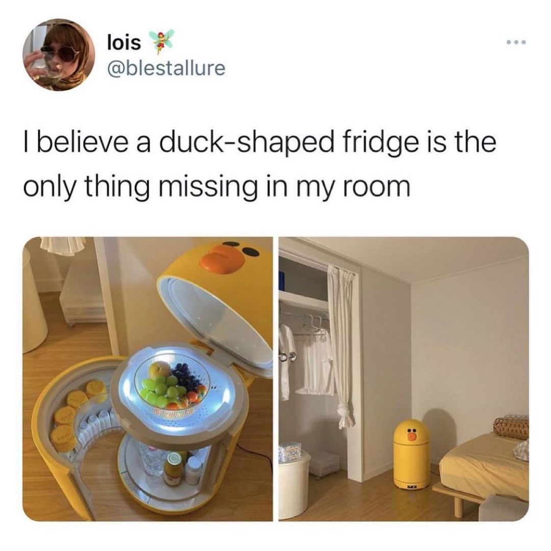 lois blestallure believe a duck shaped fridge is the only thing missing in my room