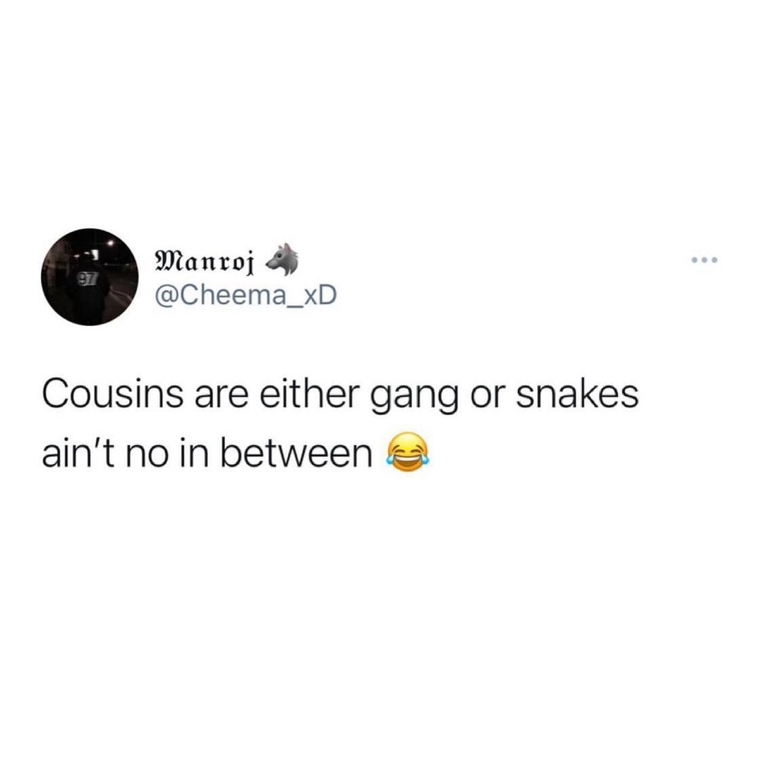 Manroj 4 Cheema_xD Cousins are either gang or snakes aint no in between