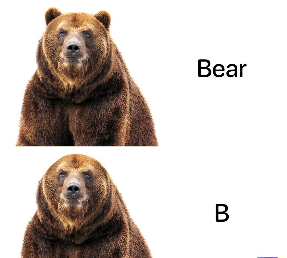 Bear B