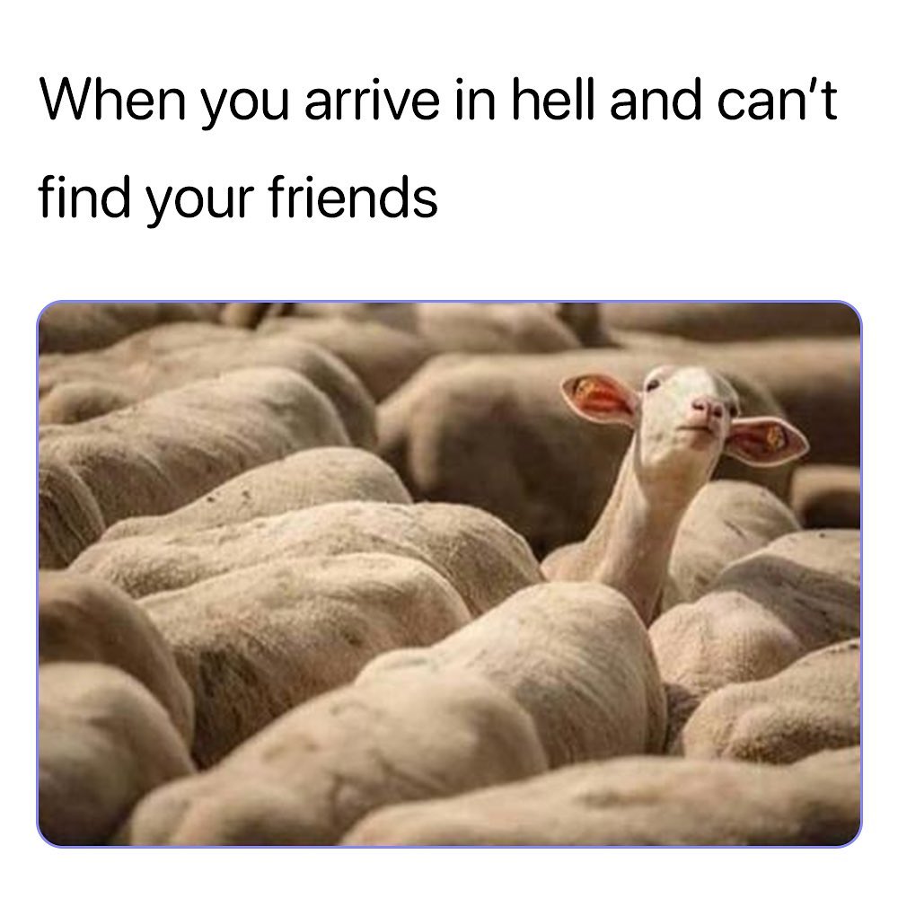 When you arrive in hell and cant find your friends