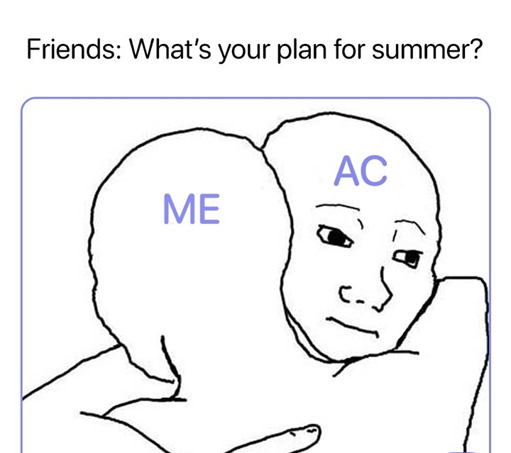 Friends Whats your plan for summer Vs