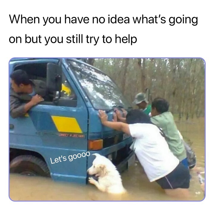 When you have no idea whats going on but you still try to help Lets 90060 a T