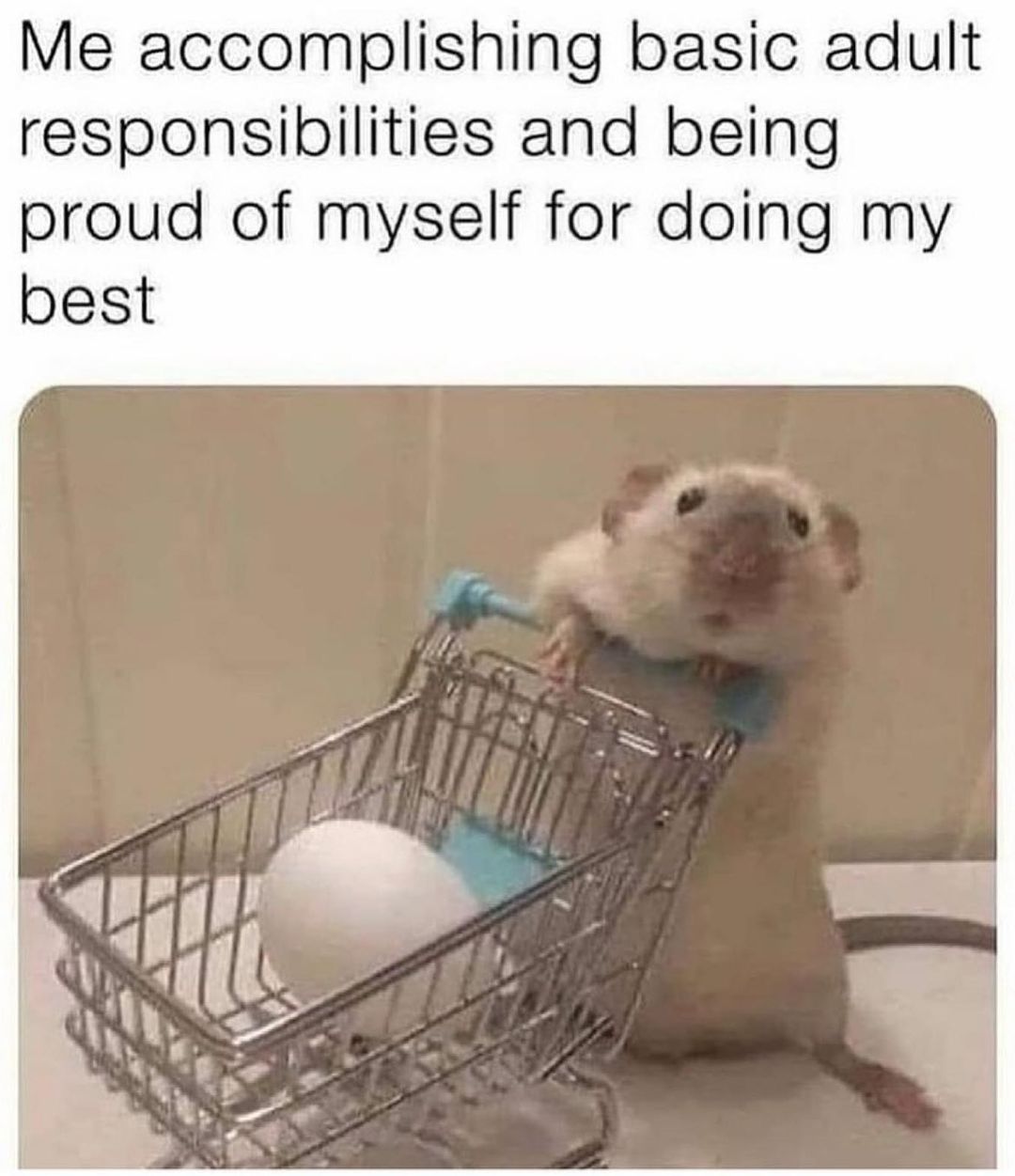 Me accomplishing basic adult responsibilities and being proud of myself for doing my best