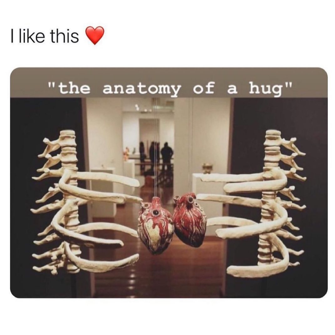 like this the anatomy of a hug