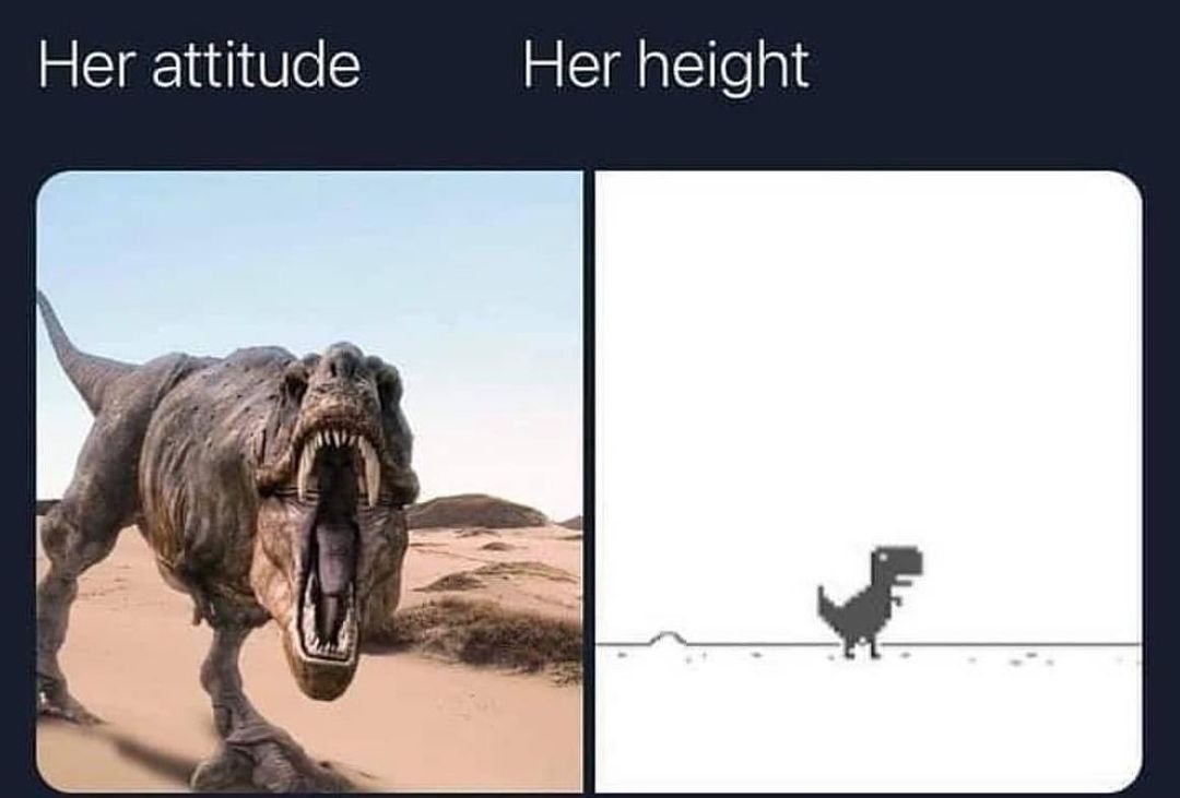 Her attitude Her height